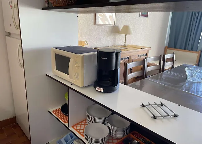 Pour 4 Avec Piscine Et Parking A Port Camargue - Fr-1-250-207 Apartament Le Grau-du-Roi