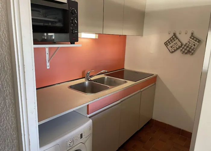 Pour 4 Avec Piscine Et Parking A Port Camargue - Fr-1-250-207 Apartament